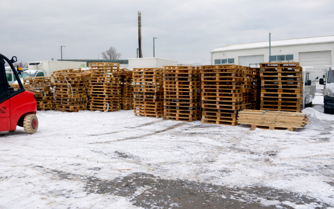 Krubert rozšiřuje služby: nová výkupna palet ve Štěrboholech je otevřena