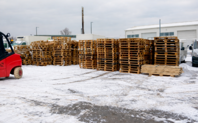 Krubert rozšiřuje služby: nová výkupna palet ve Štěrboholech je otevřena